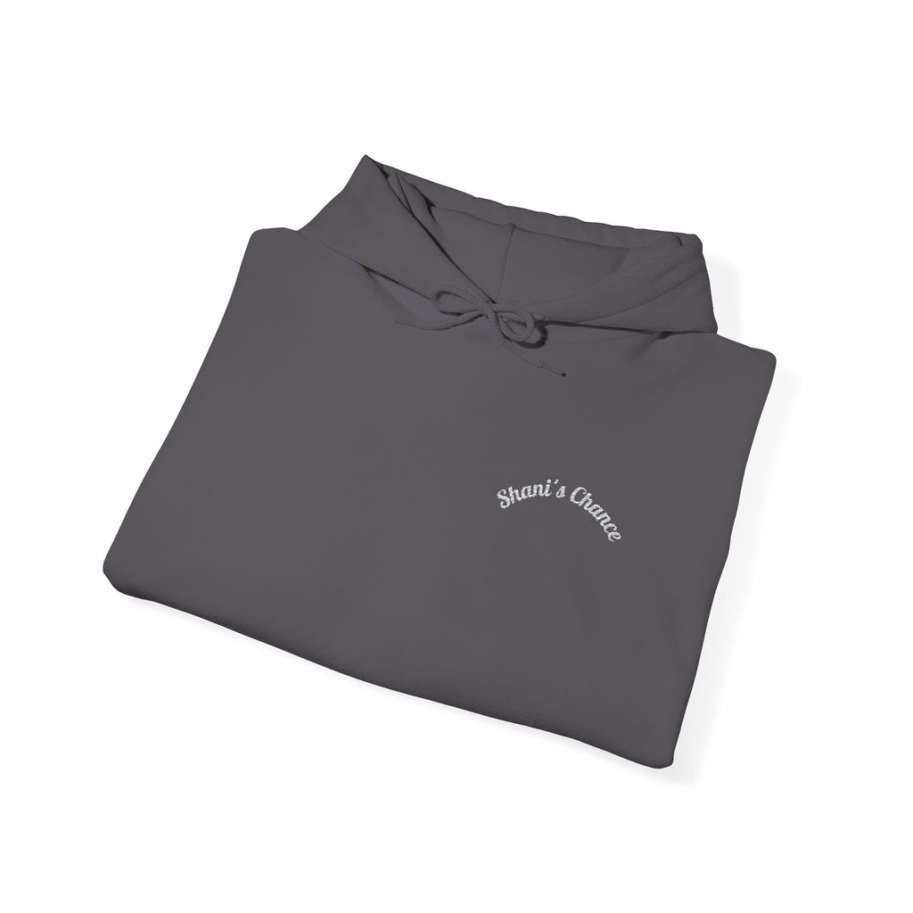 Hoodie — Minimal 'everything' Script Chest Logo Pullover