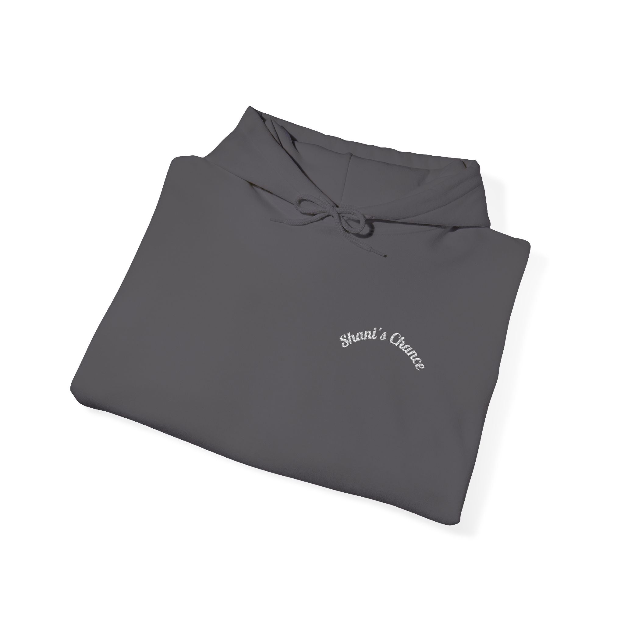 Hoodie — Minimal 'everything' Script Chest Logo Pullover